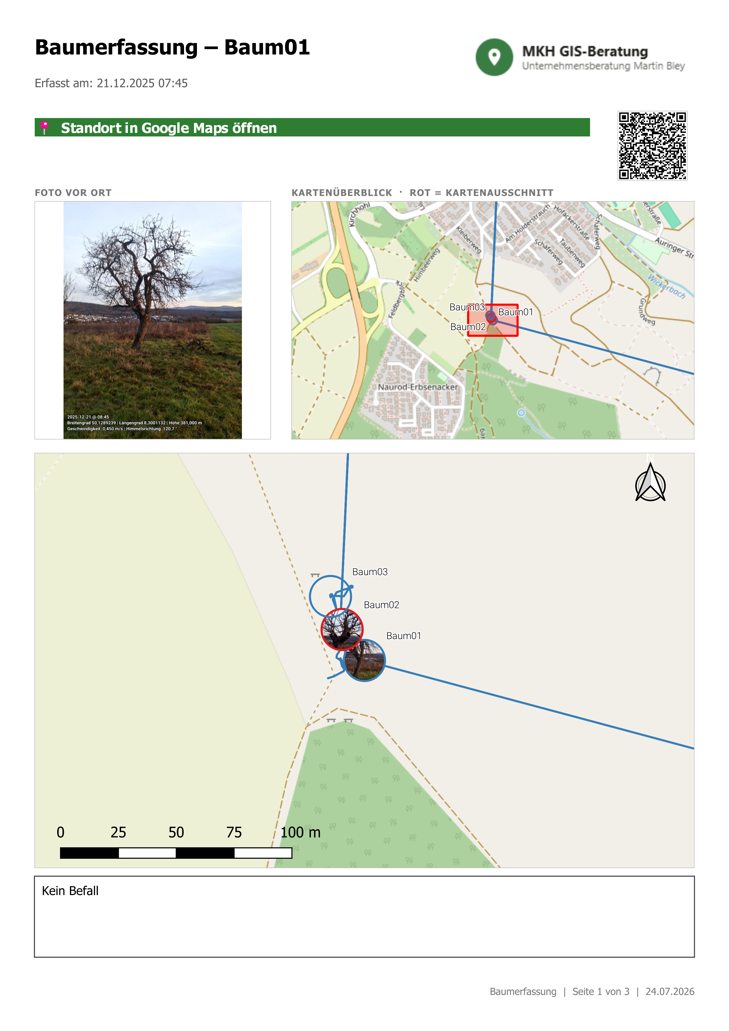 Beispielhafte QGIS-Atlas-Seite einer Baumerfassung mit Foto, Kartenüberblick, Detailkarte und Zustandstabelle